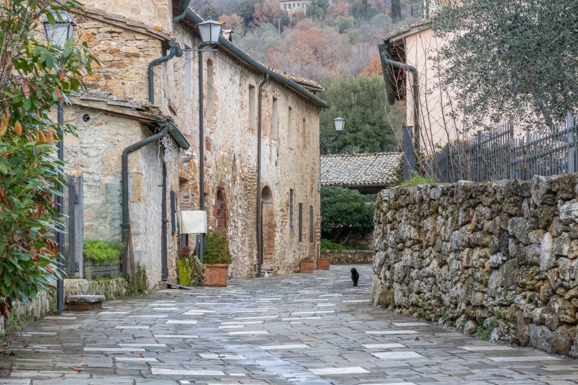 Gasse mit Katze in Bagno Vignoni, San Quirico d’Orcia, Toskana, Italien