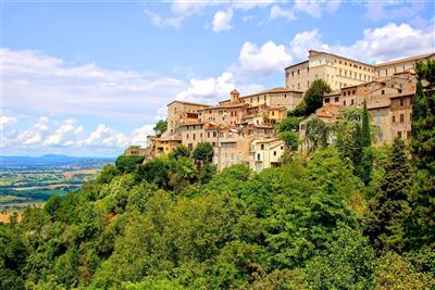 Todi
