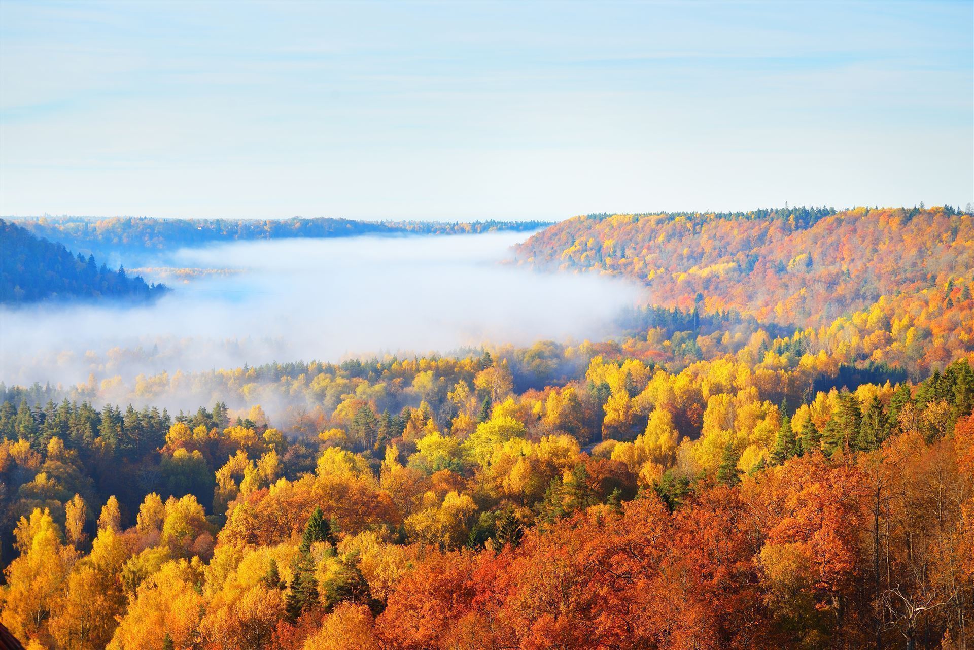 ©Lettland_Gauja Nationalpark/iStock