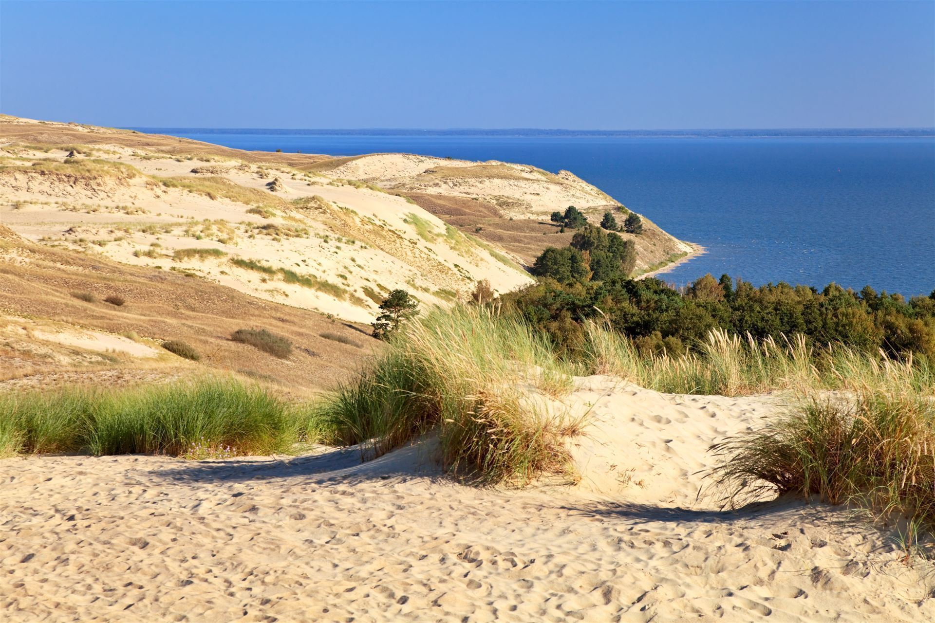 Sanddünen in der Kurischen Nehrung