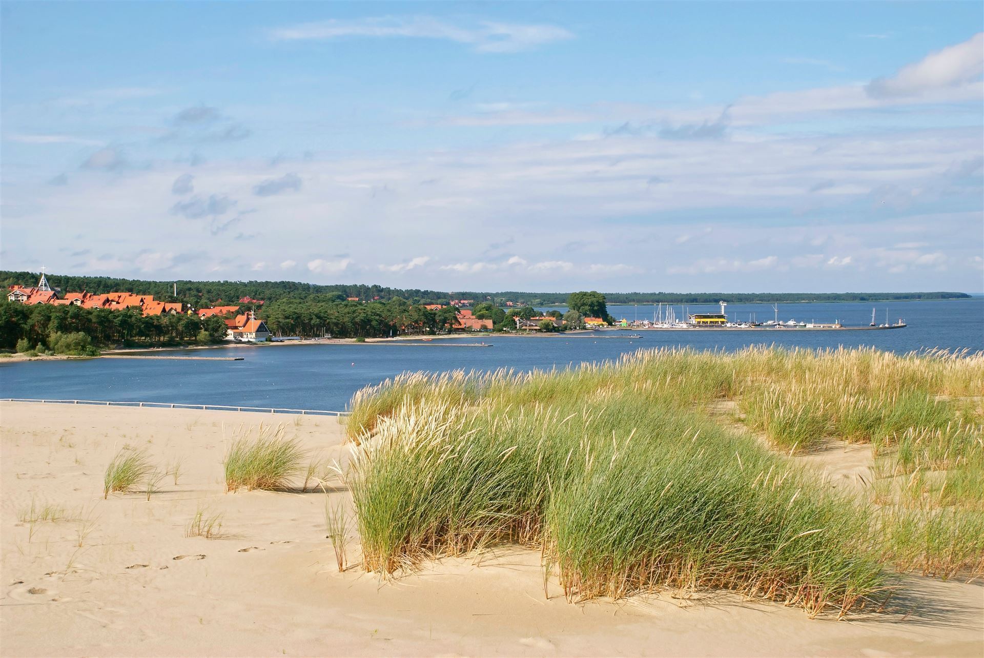 Strand mit Gräsern