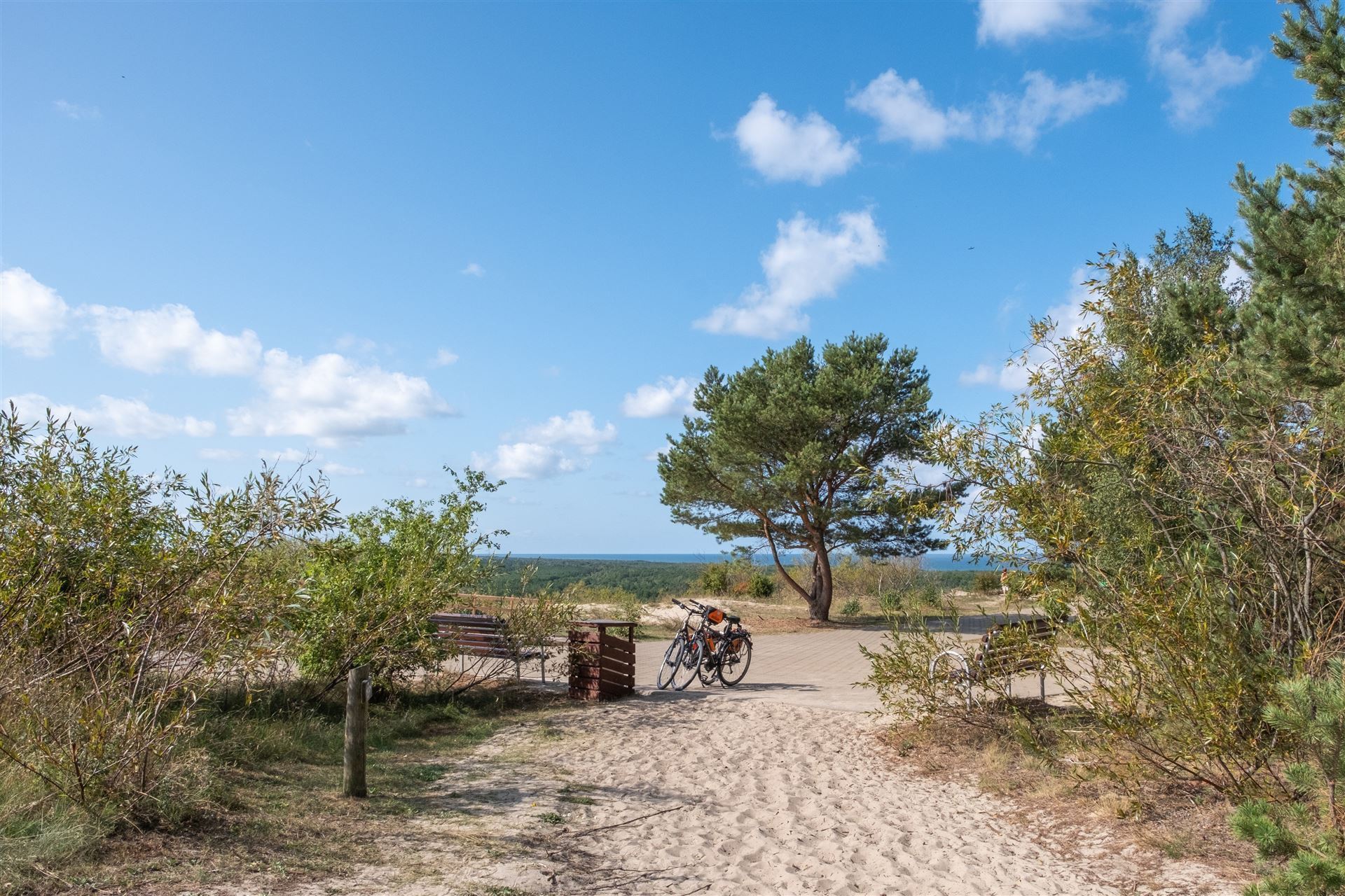 Kurische Nehrung mit Raedern