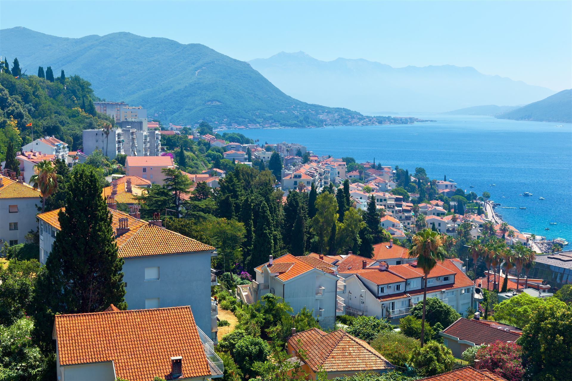 Blick auf die Bucht von Kotor