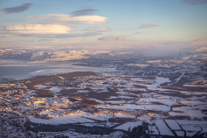 Alta
