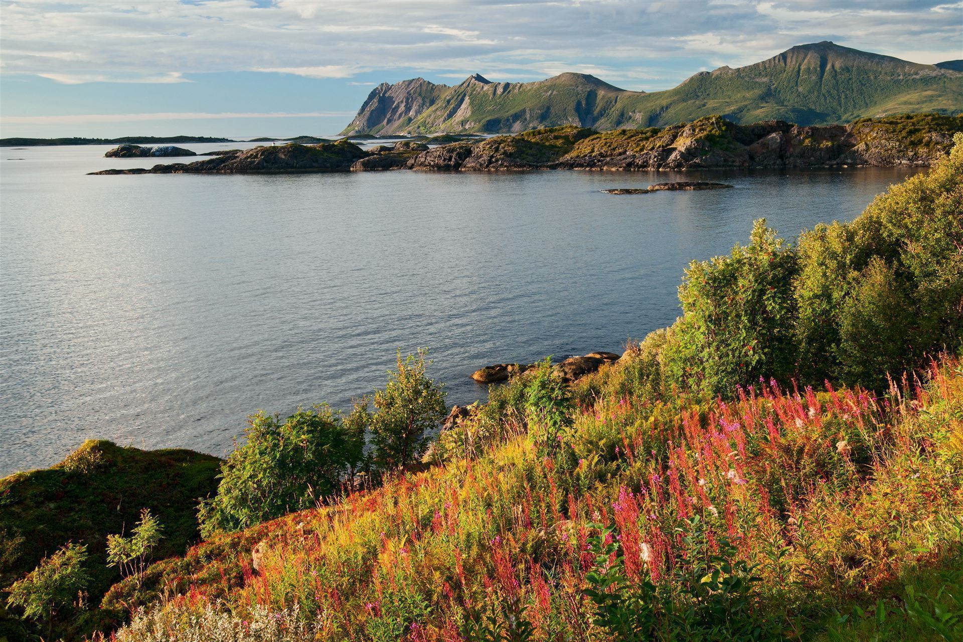 Insel Senja in Norwegen