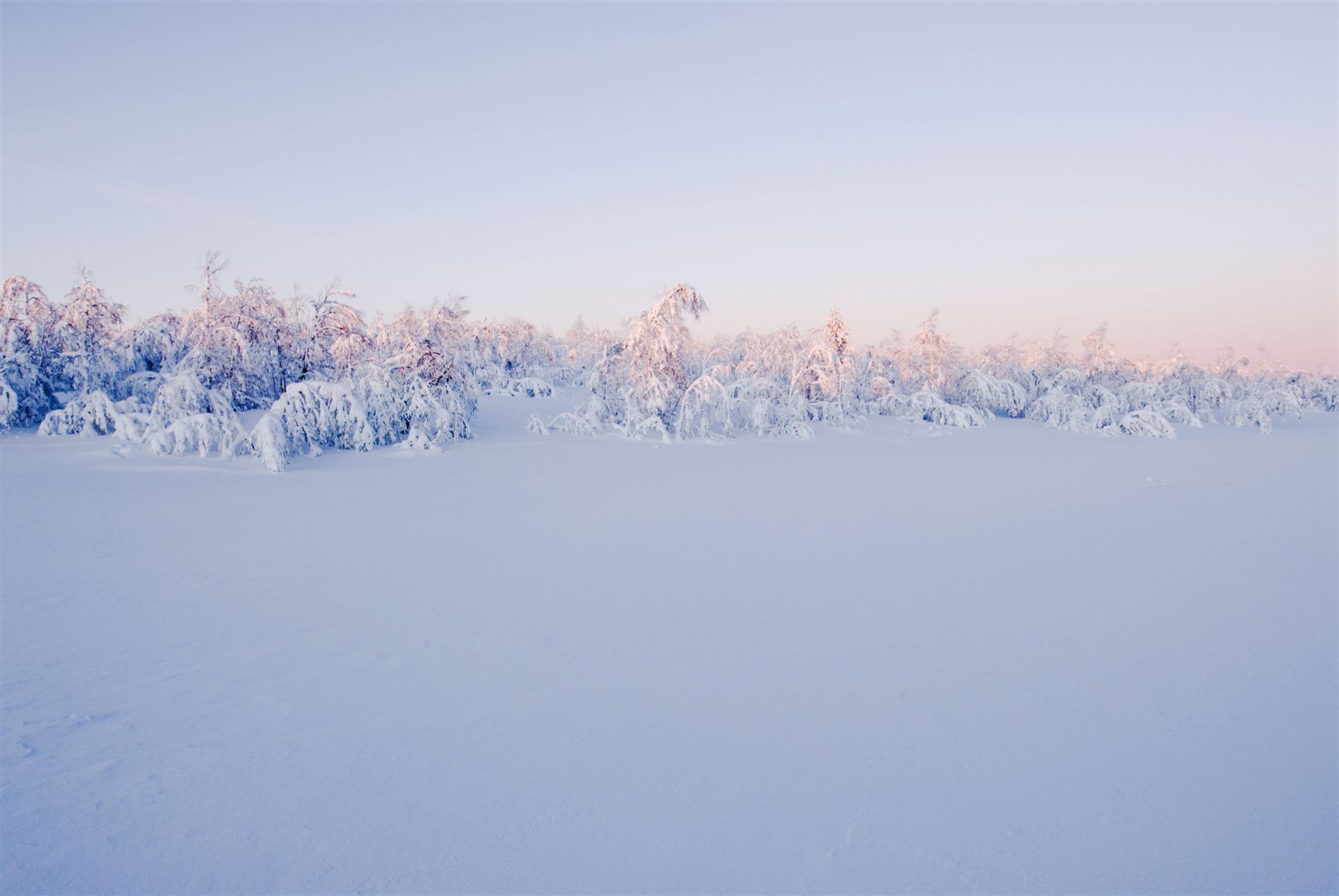 Schneelandschaft von Kautokeino in Norwegen