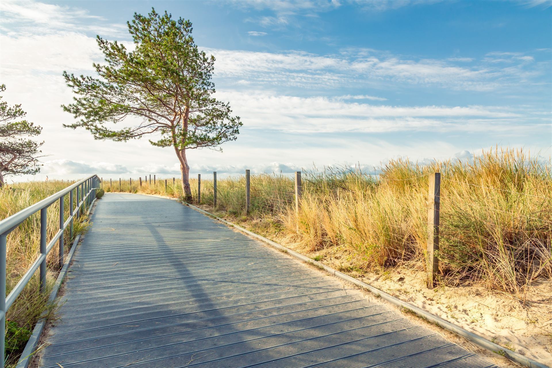 Insel Hela mit Promenade