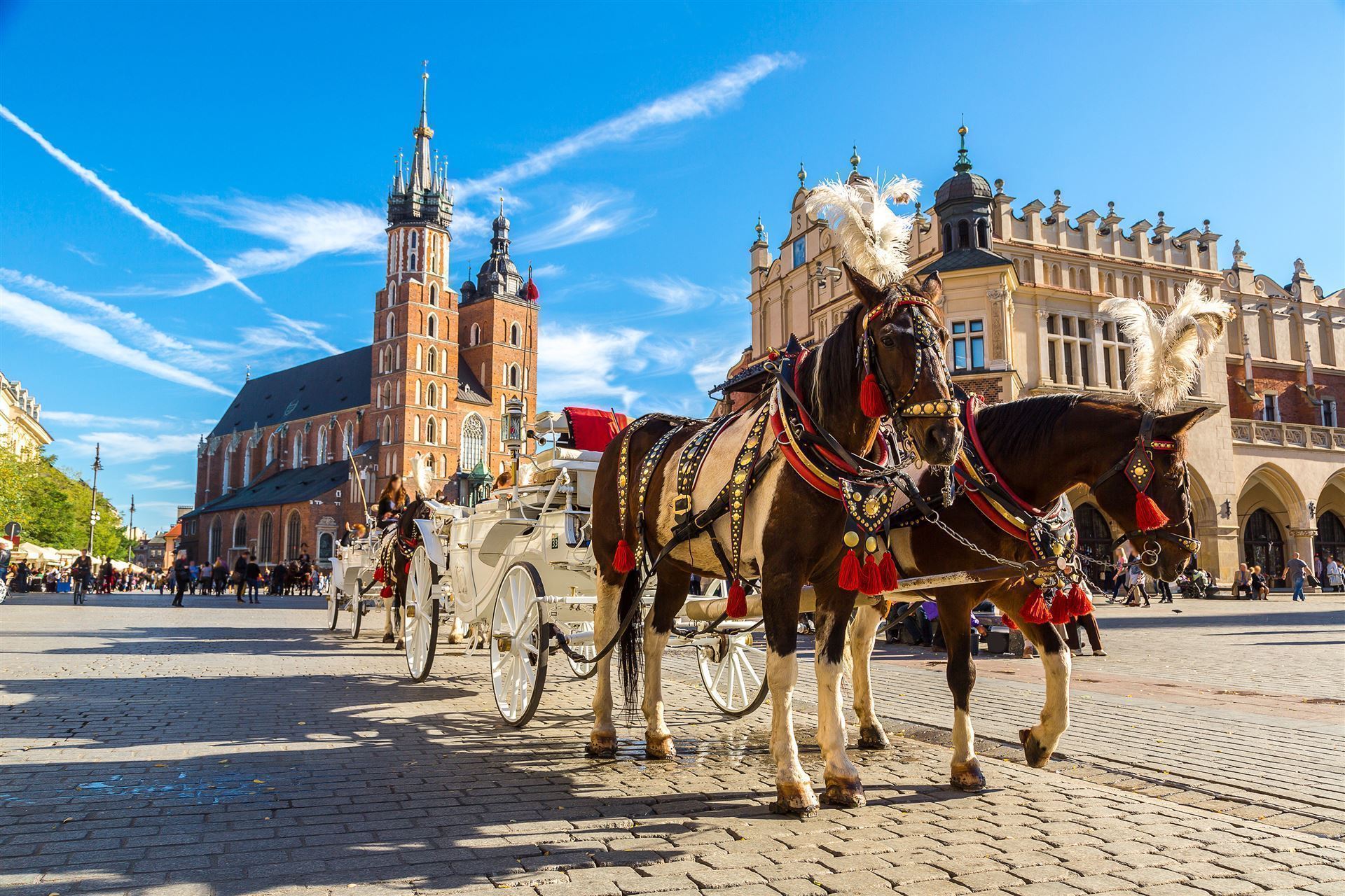 Kutsche auf den Straße von Krakau