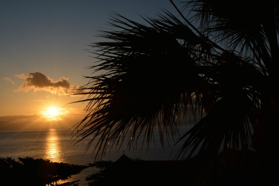 Traumhafter Sonnenaufgang in Canico de Baixo