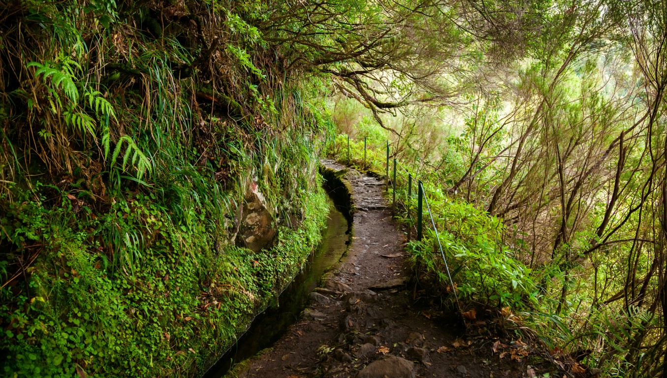 Madeira_Levadas_Levada Caldeirao Verde