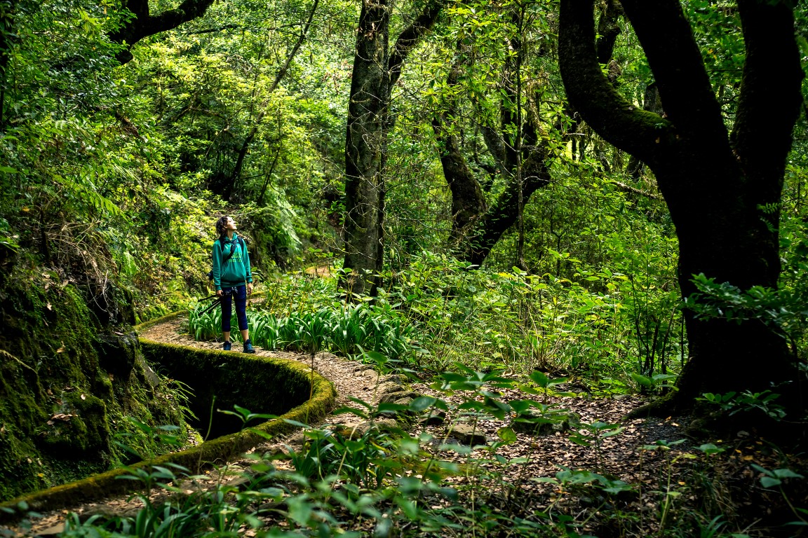 Levadawanderin entlang der Levada auf Madeira, Portugal