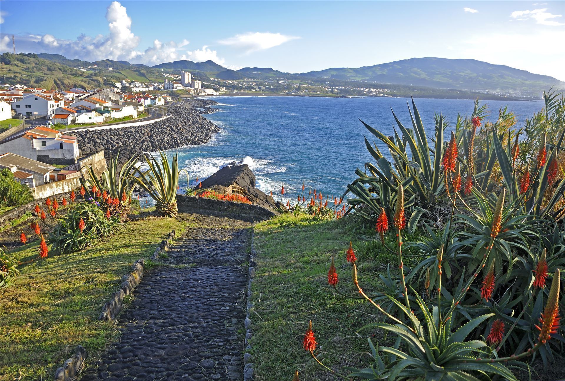Portugal_Azoren_Ponta Delgada