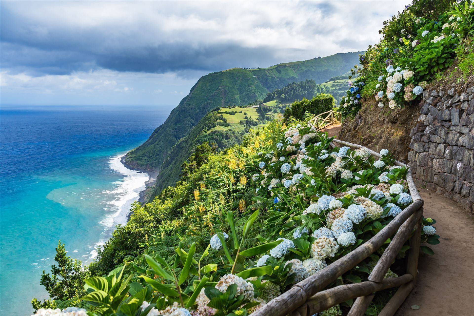 Azoren Sao Miguel Hortensien
