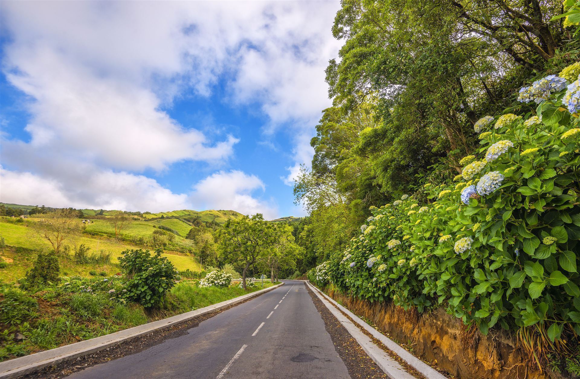 Straße Insel Sao Miguel