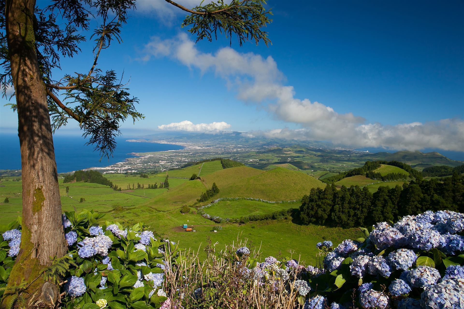 Landschaft auf Sao Miguel