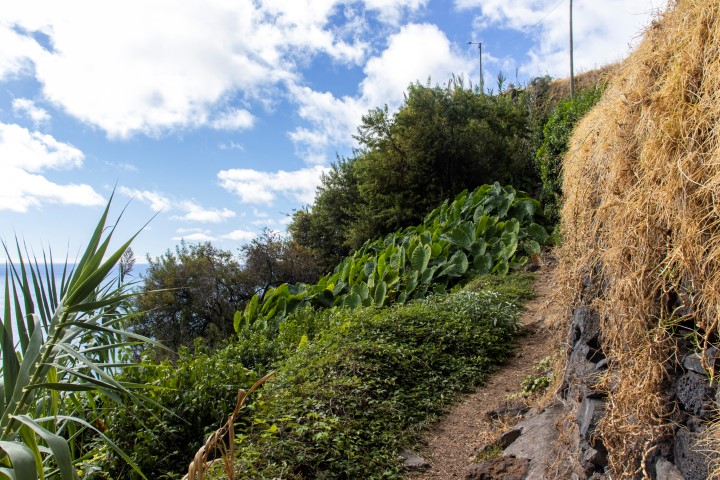 Portugal Madeira
