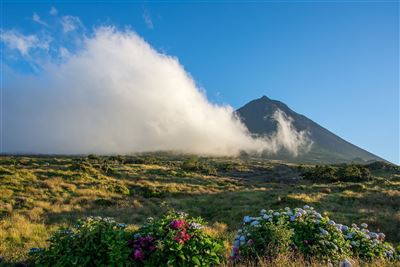Insel Pico