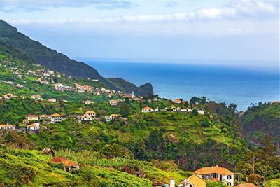 Faial