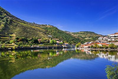 Portugal Pinhao Weinberge