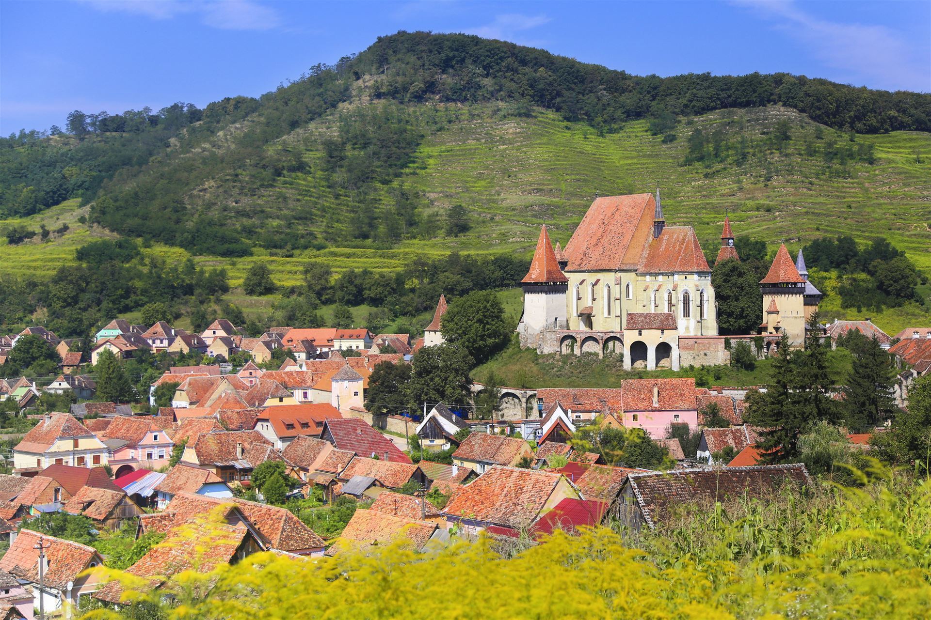 Stadtansicht Biertan