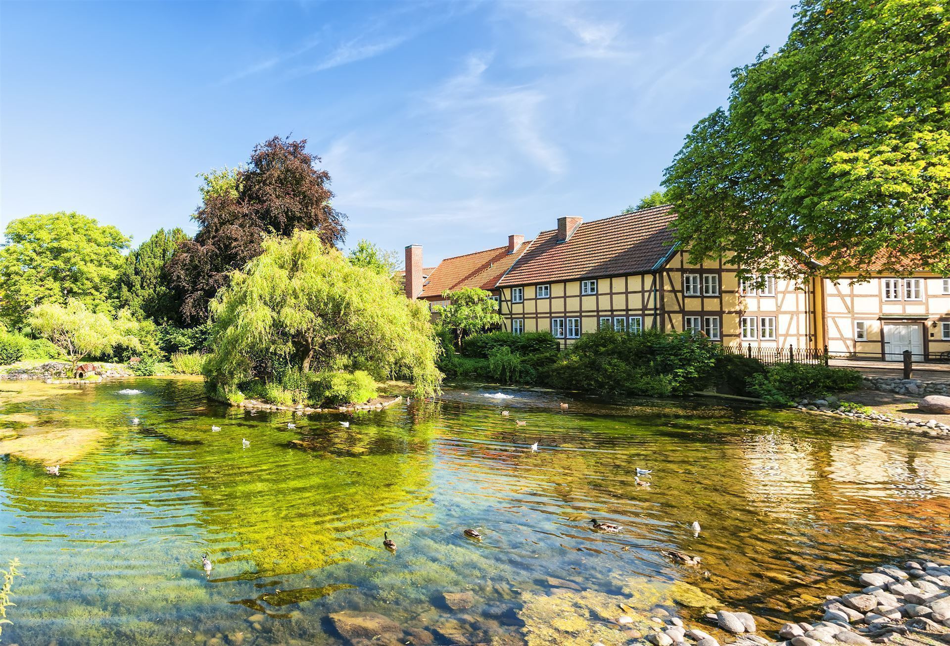 Teich in Ystad, Schweden