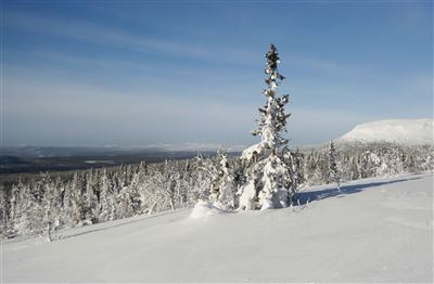 Wintersprortregion Idre