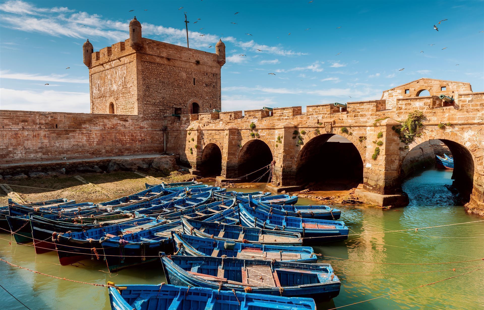 Hafen von Essaouira