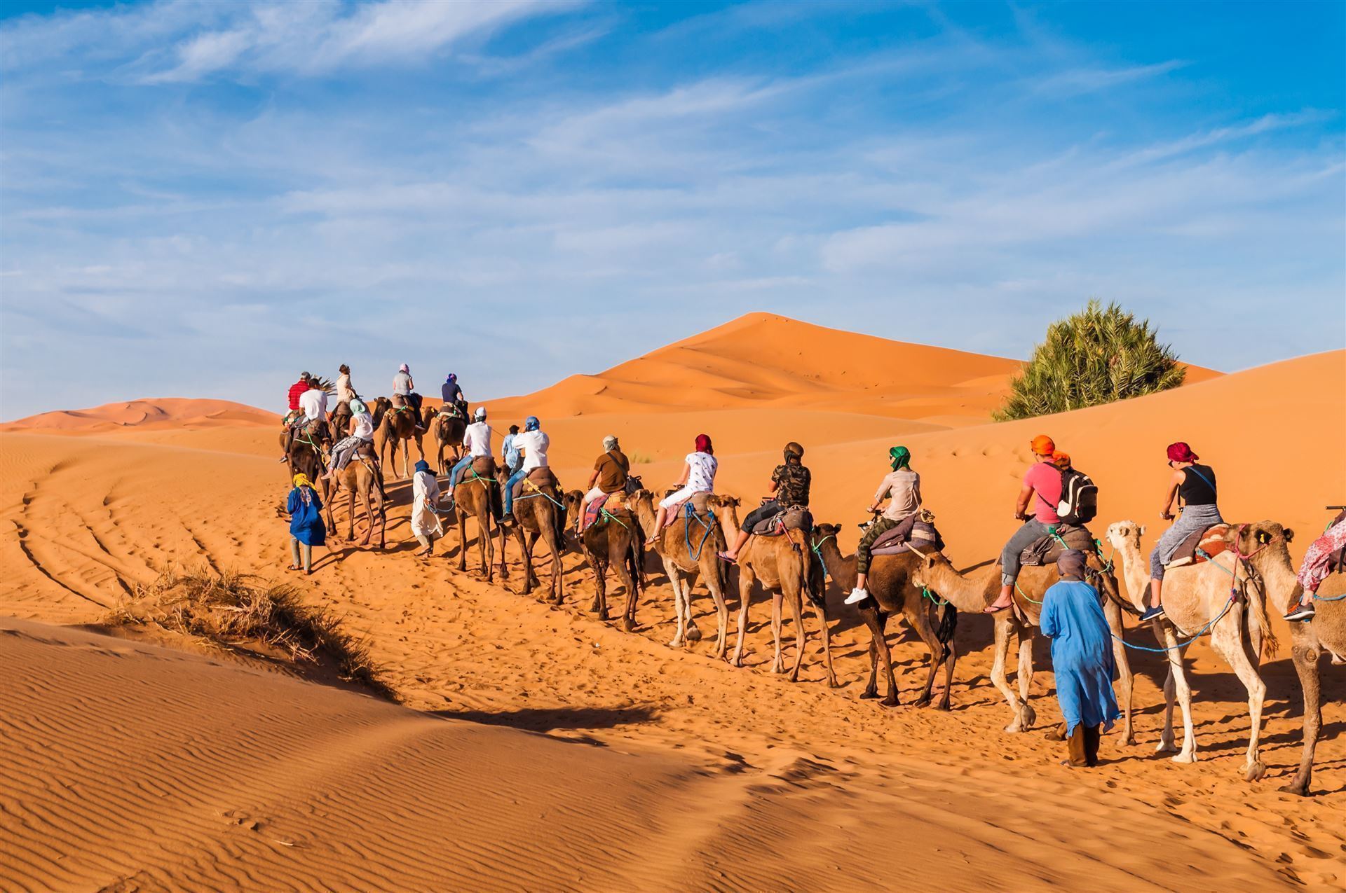 Karawane in der Sahara