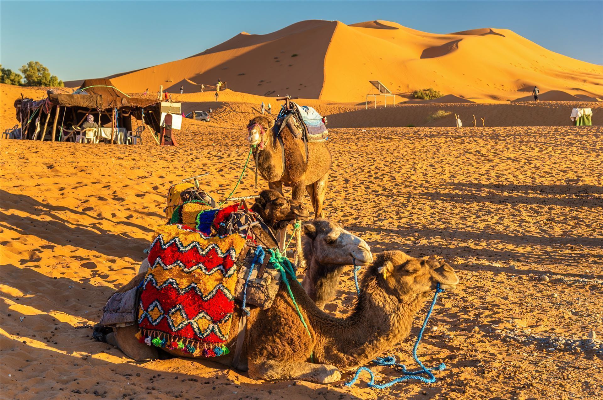 Duene der Sahara