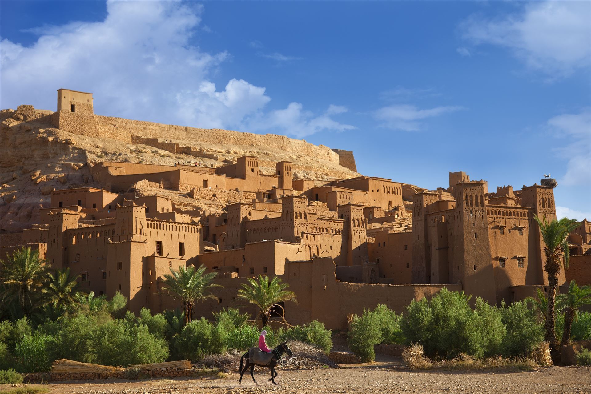 Blick auf die Satdt Aït Ben Haddou