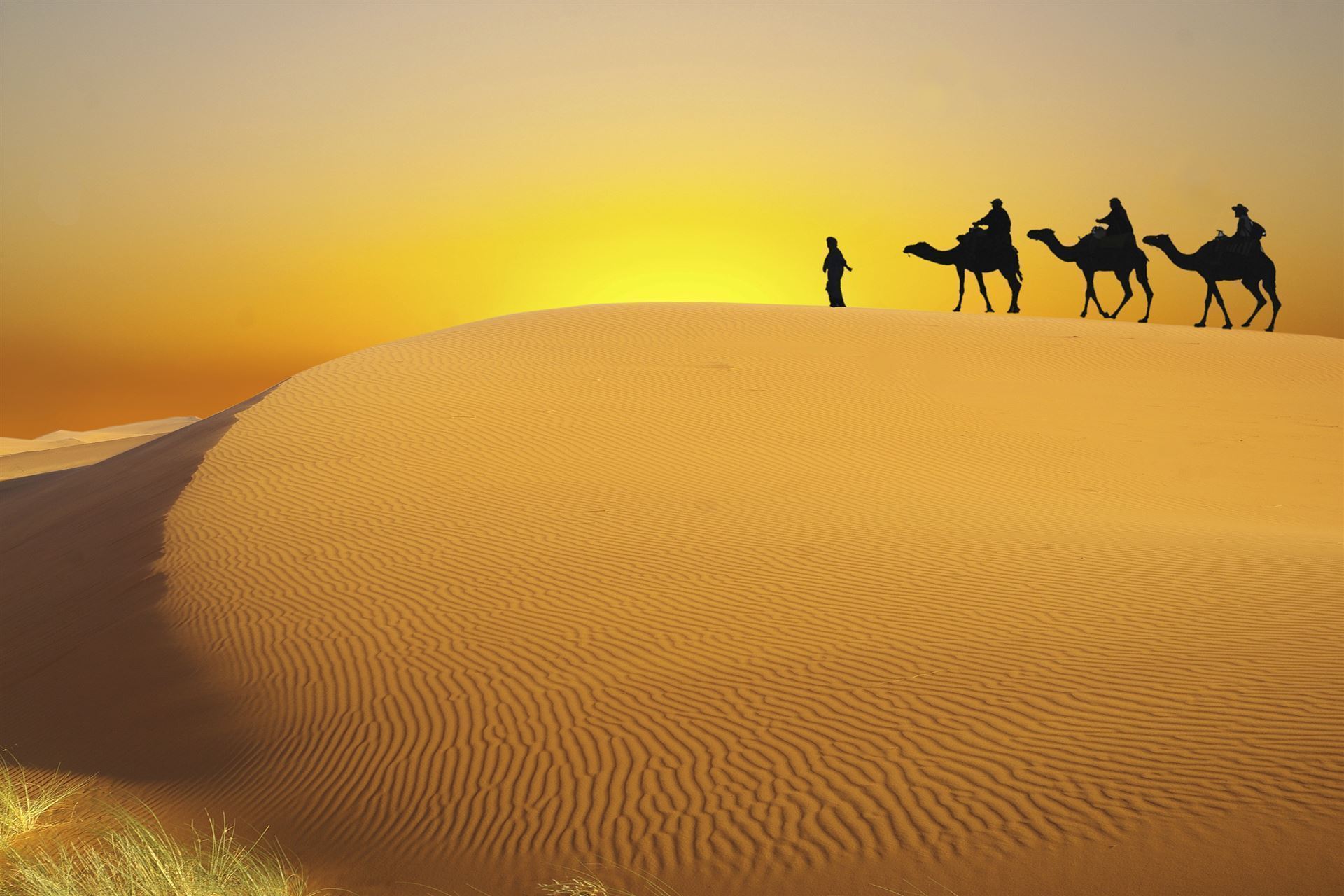 Marokko_Landesinnere_Sahara