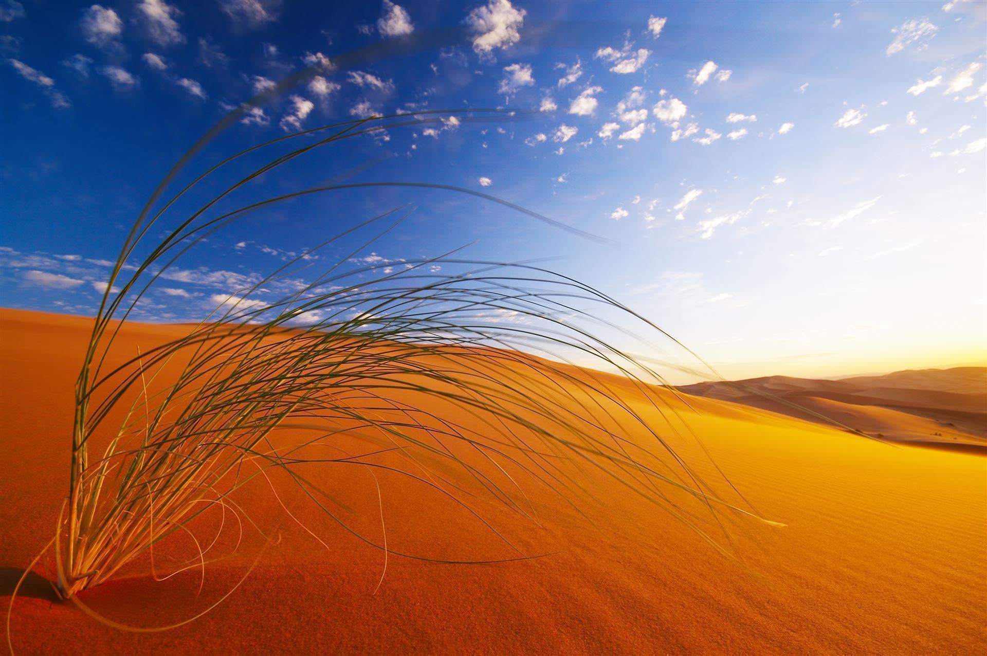 Landesinnere_Sahara