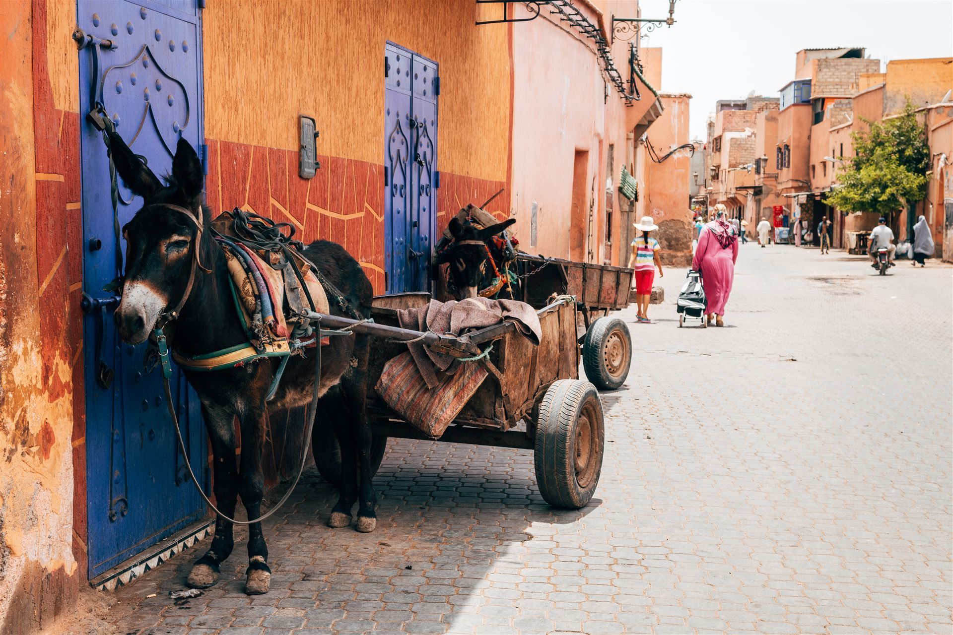 Eselwagen in der Medina