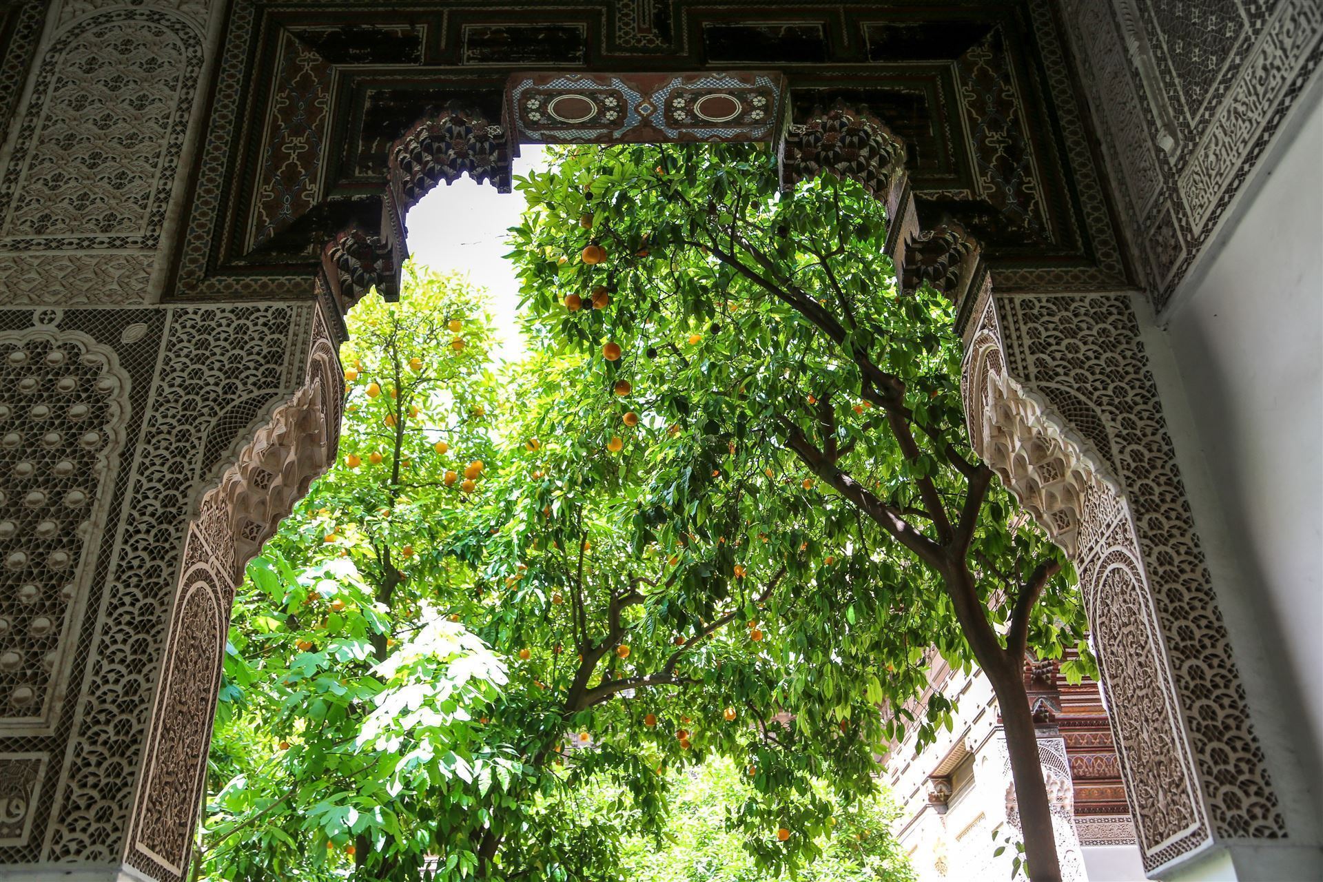 Baum im Palais Bahia