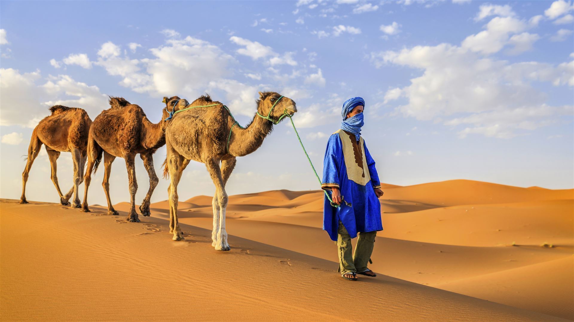 Sahara_Mann mit Kamelen