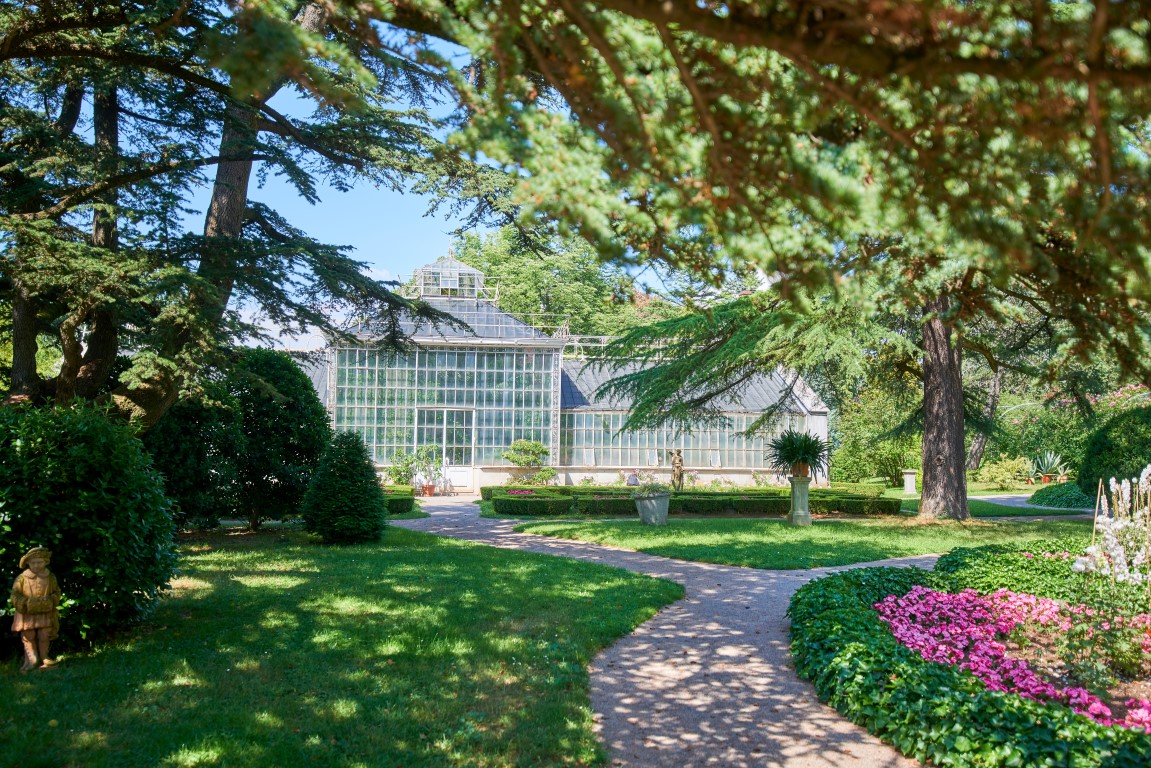 Botanischer Garten, eine 150 Jahre alte Zeder, Blumenbeete
