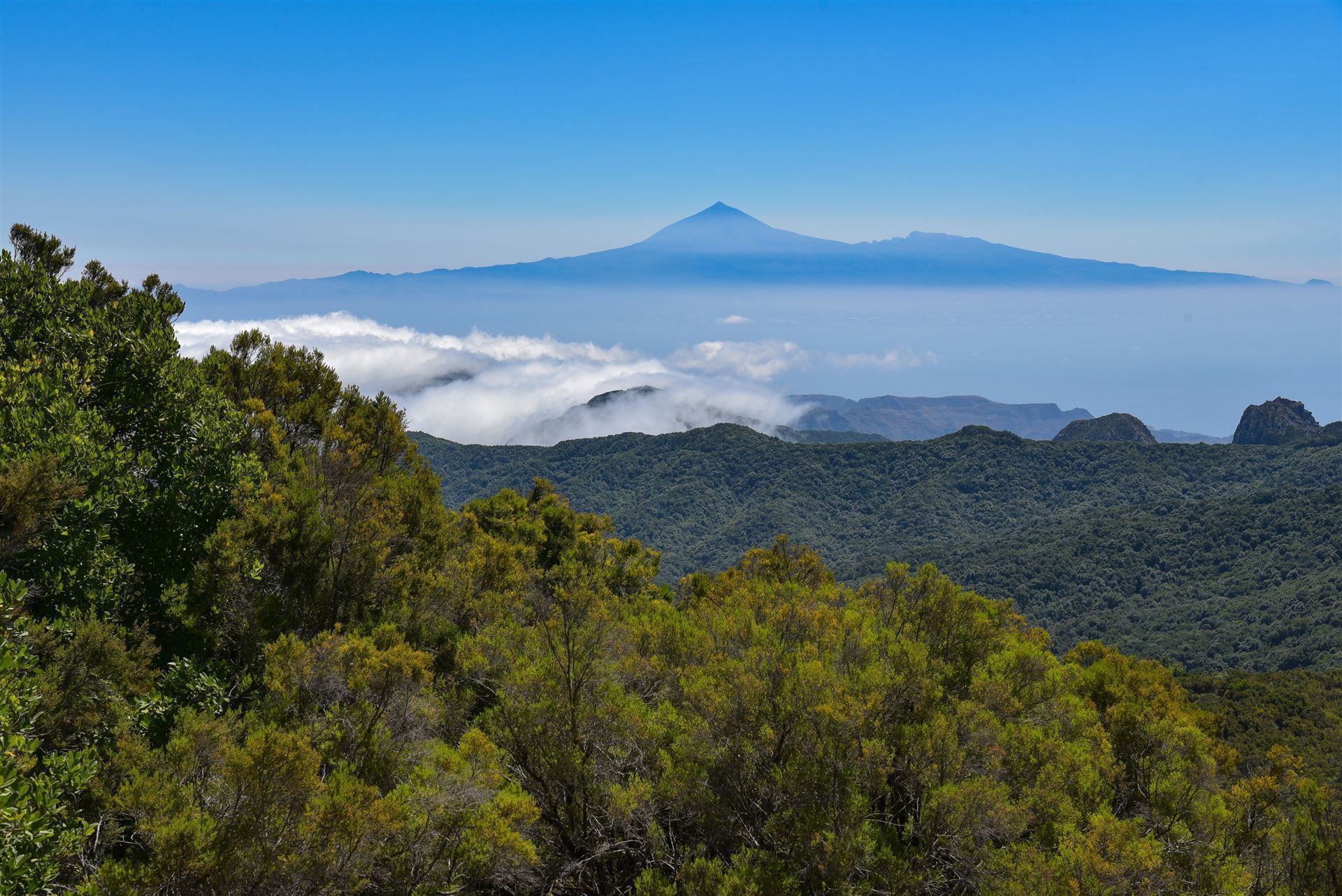 Blick auf den Garajonay Nationalpark