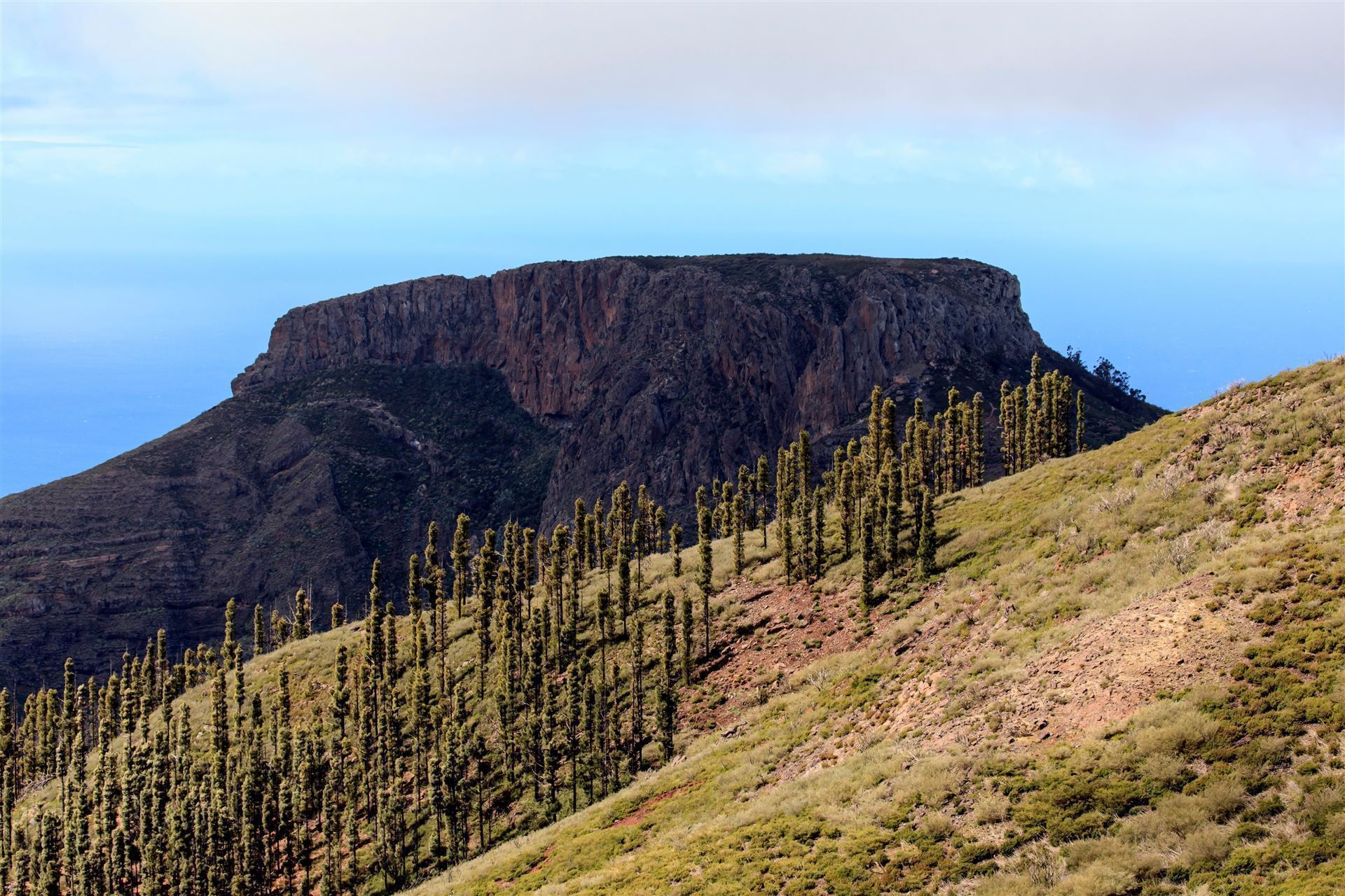 Blick auf Tafelberg La Fortaleza Ansicht mit Wald