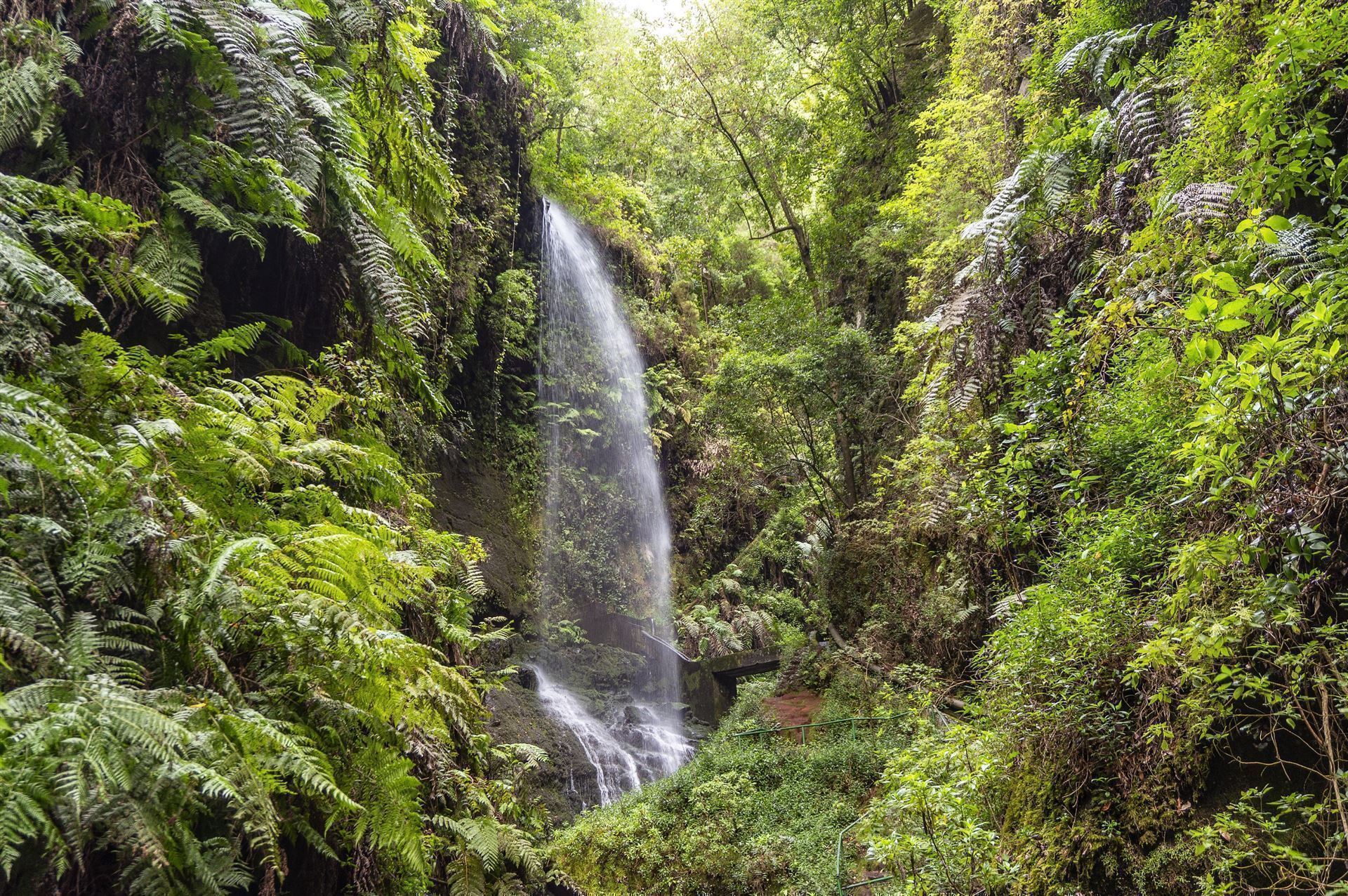 Wasserfall von Los Tilos 