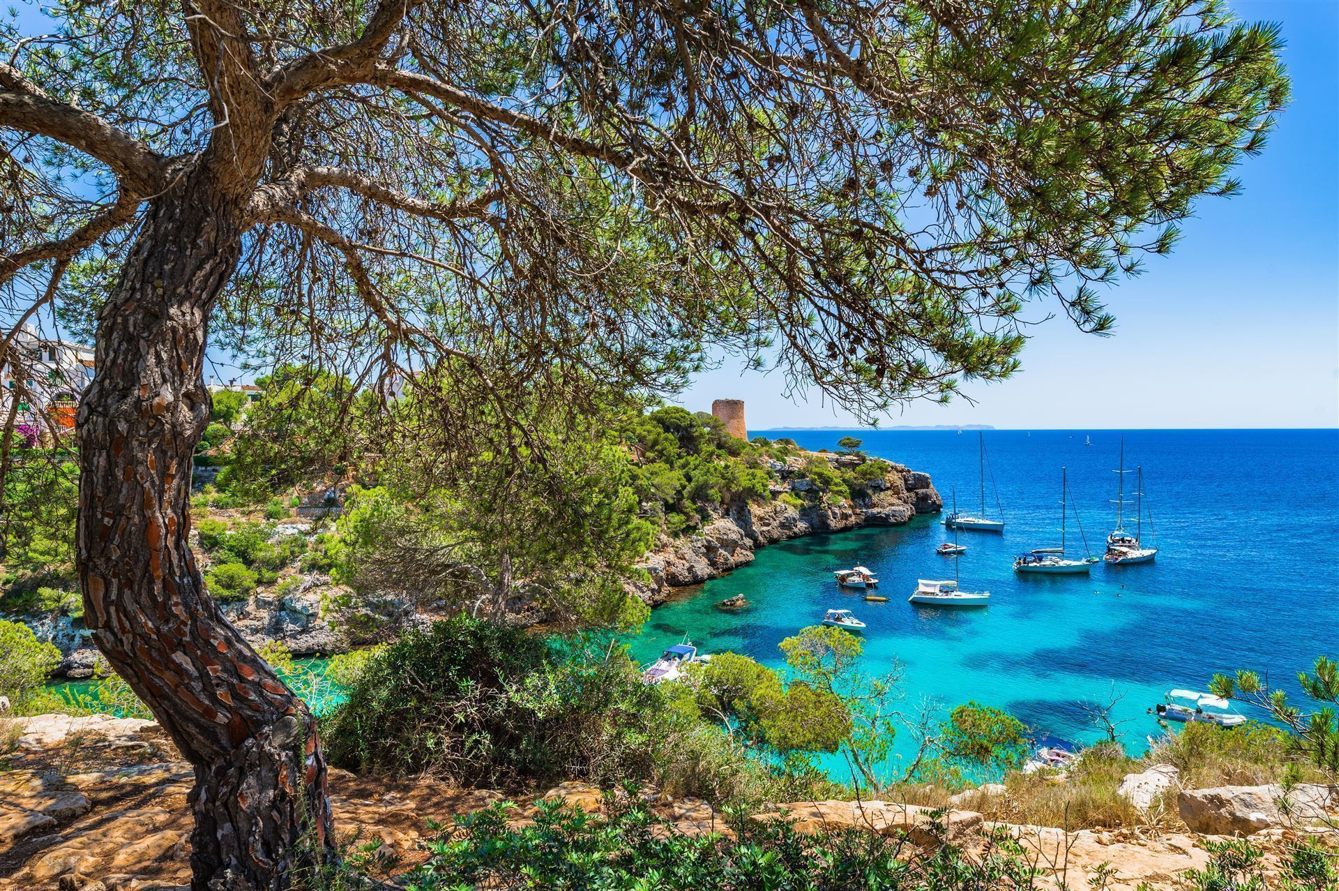 Spanien Mallorca Impressionen