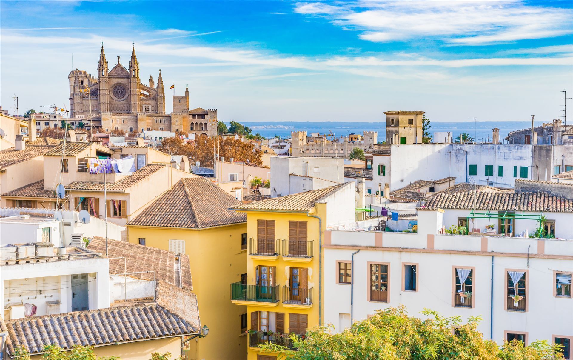 Palma de Mallorca mit Blick auf die Kathedrale