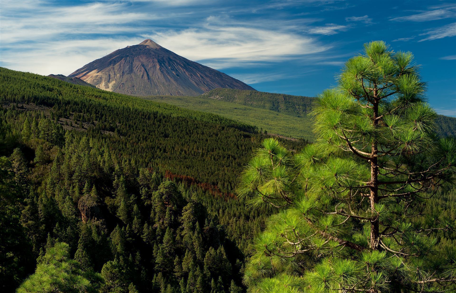 Blick über das Orotava Tal und den Teide