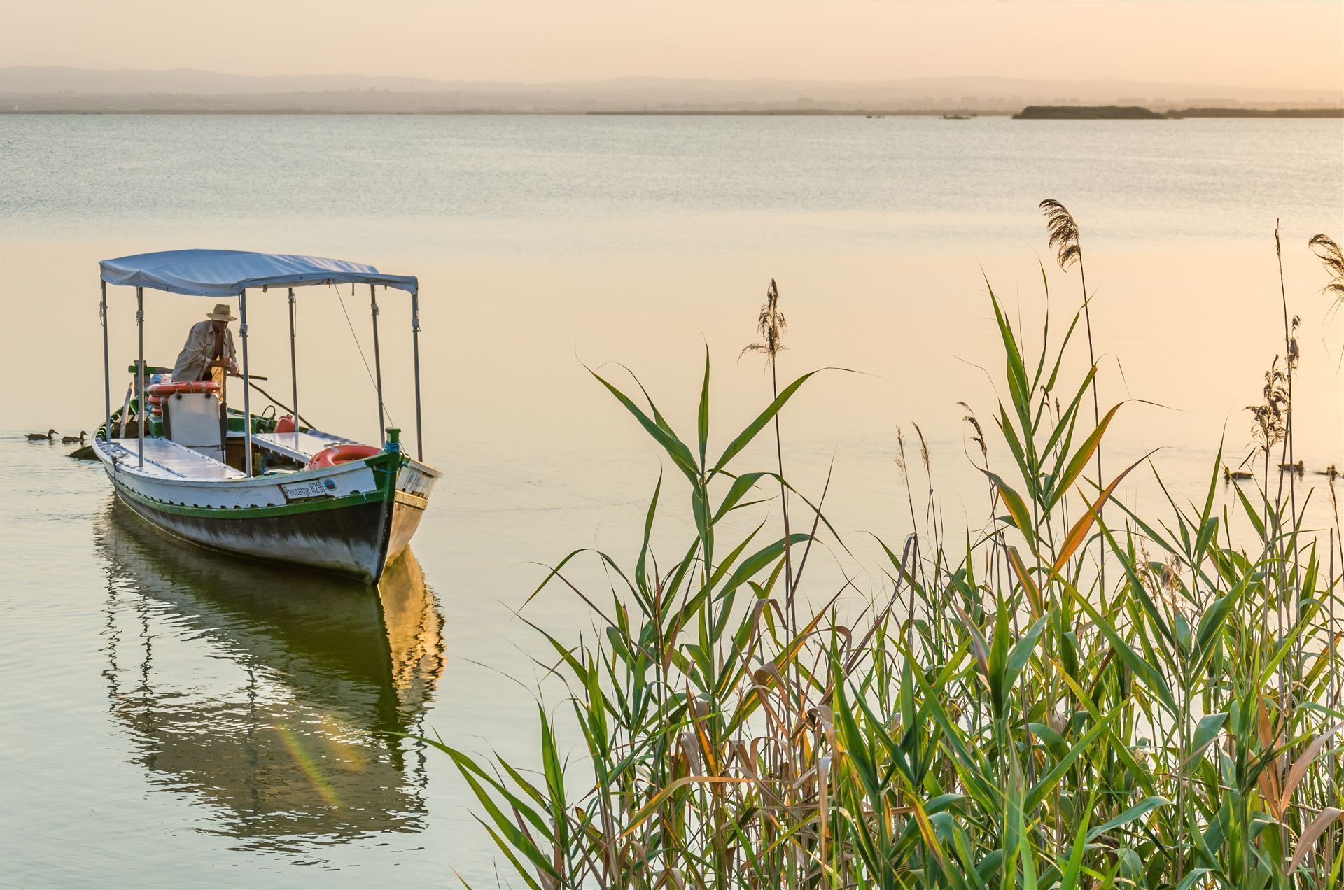 Naturpark Albufera mit Boot
