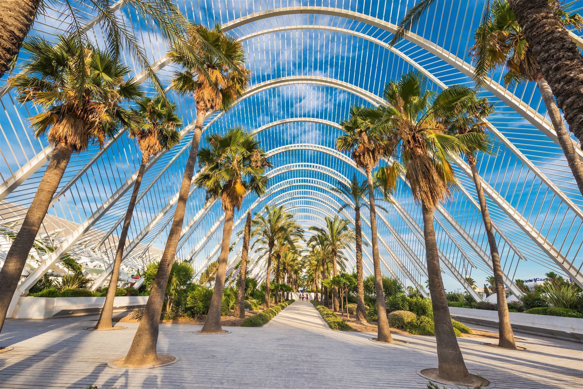 Valencia Palmengarten L’Umbracle