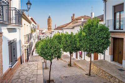 Zemtrum Antequera