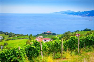 Weinberge in Gretaria