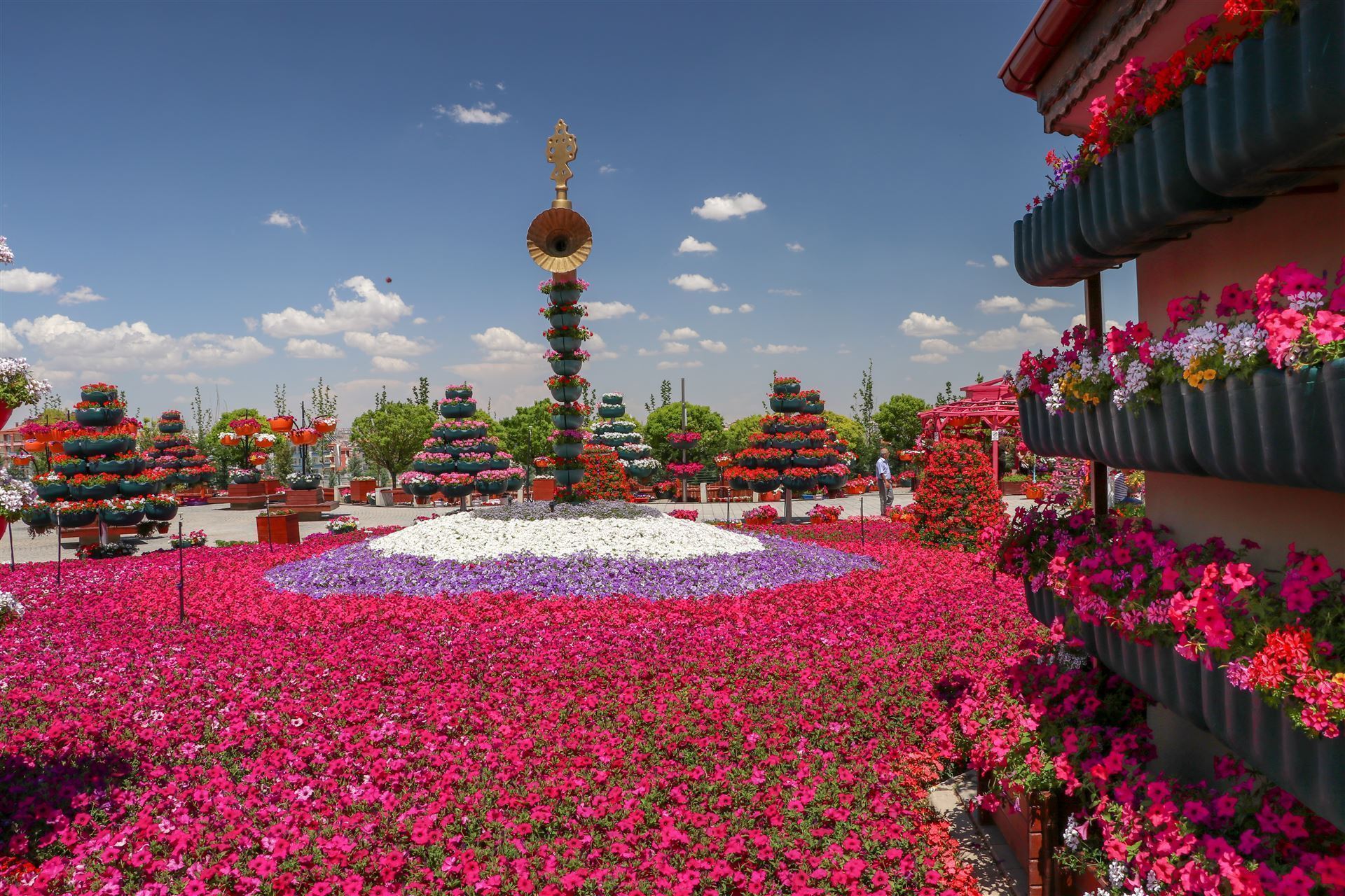 Blumenpracht in Konya, Türkei