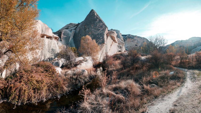 Gomeda Tal
