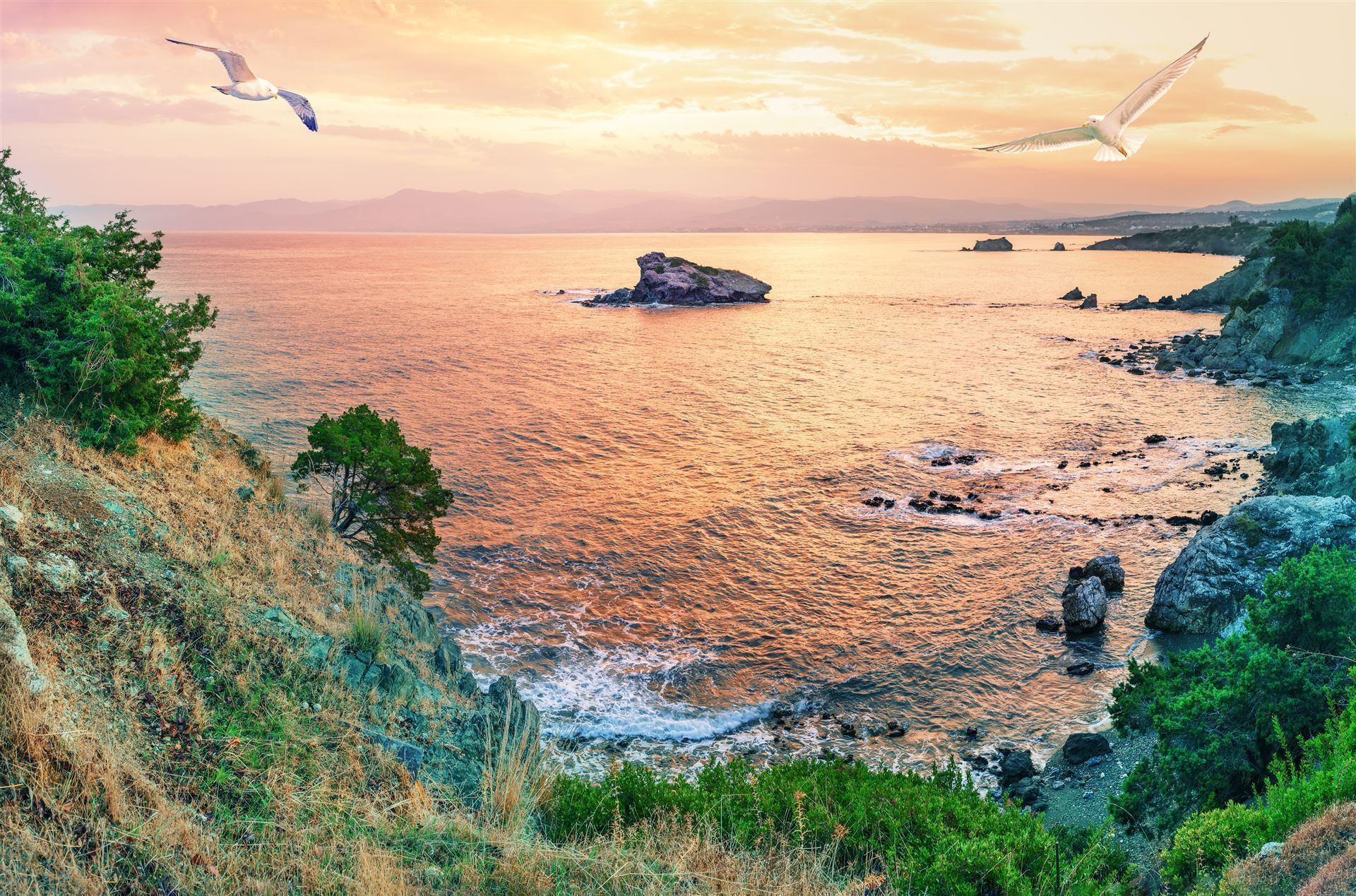 Kap Akamas Bucht mit Möwen