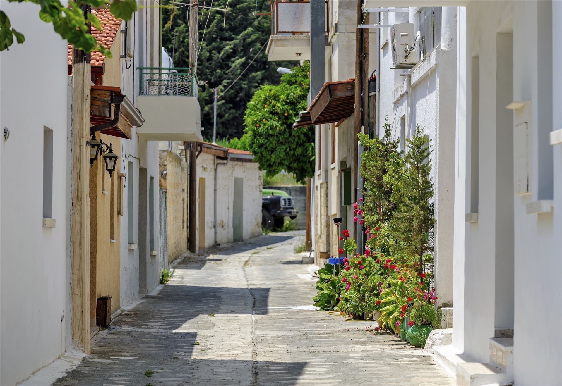 Zypern Omodos